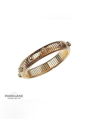 Park Lane “Wilder” Bracelet! NWOT!